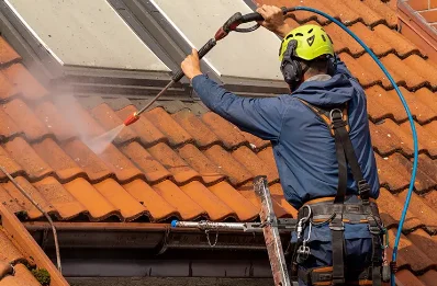 Démoussage et hydrofuge de toiture à Guigneville